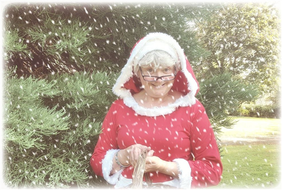 Mrs Clause