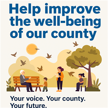 Well-being survey