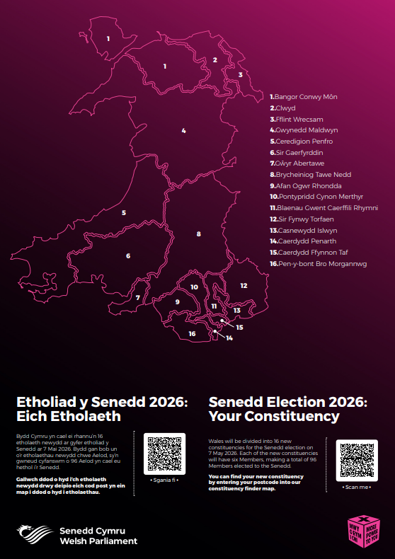 Constituency map - poster