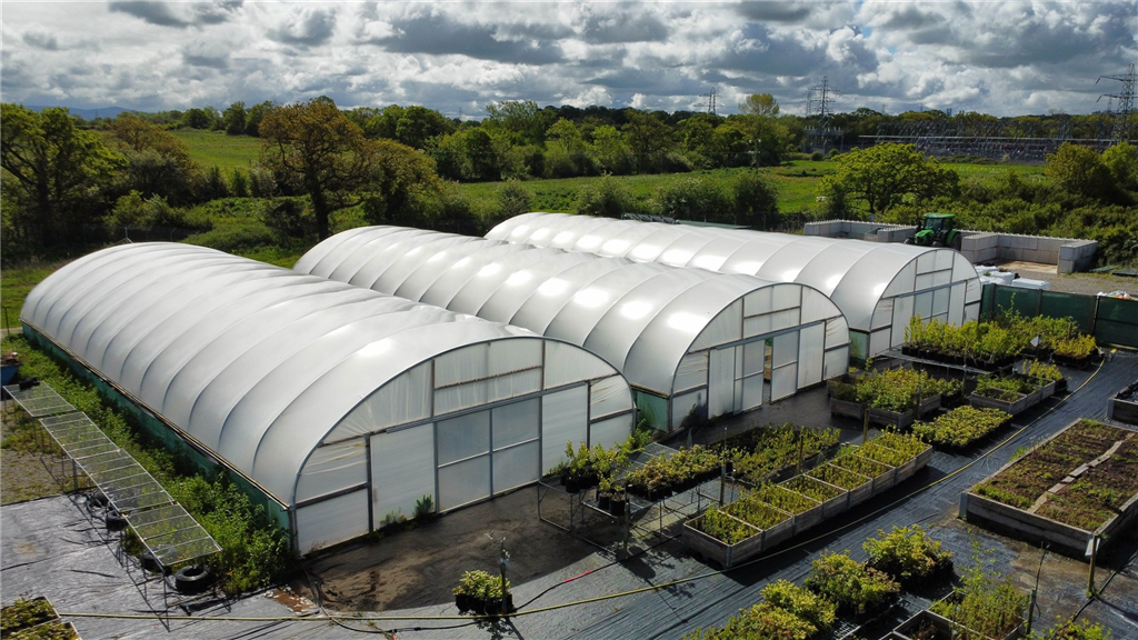 Tree nursery