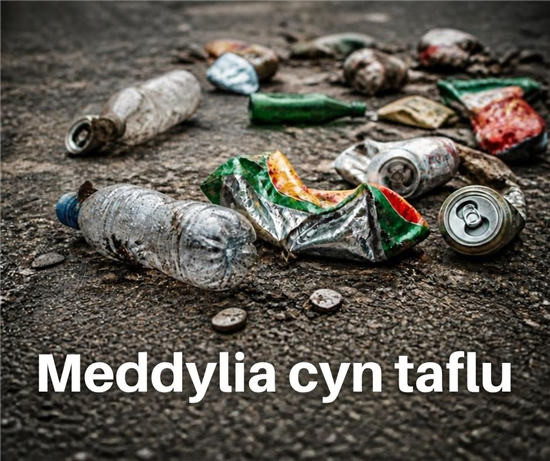 Meddylia cyn taflu