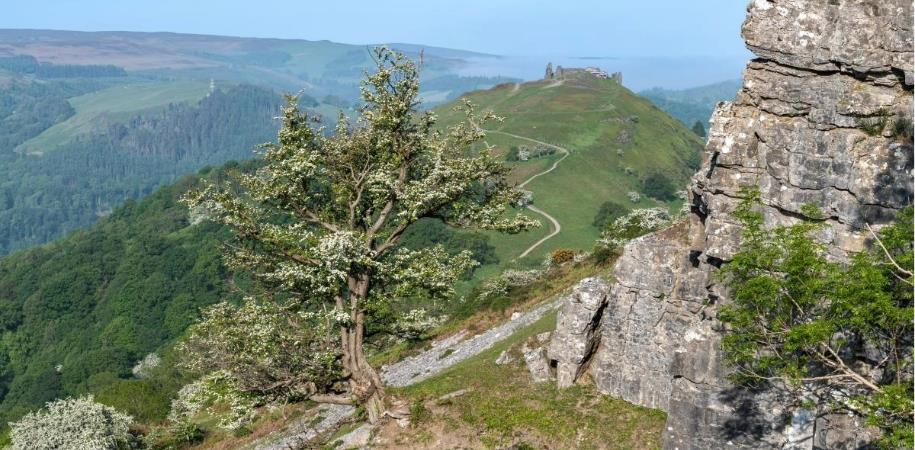 Castell Dinas Bran