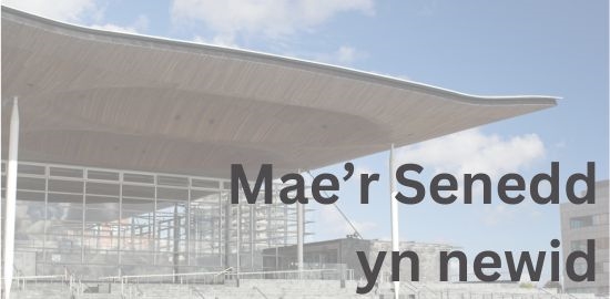 Mae\'r Senedd yn newid