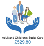 Social care