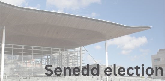 Senedd election